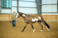 AJB_0642