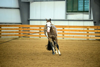 AJB_0644