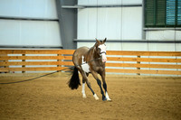 AJB_0646