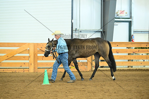 AJB_0494