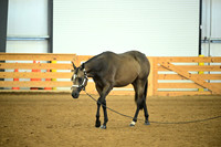 AJB_0649