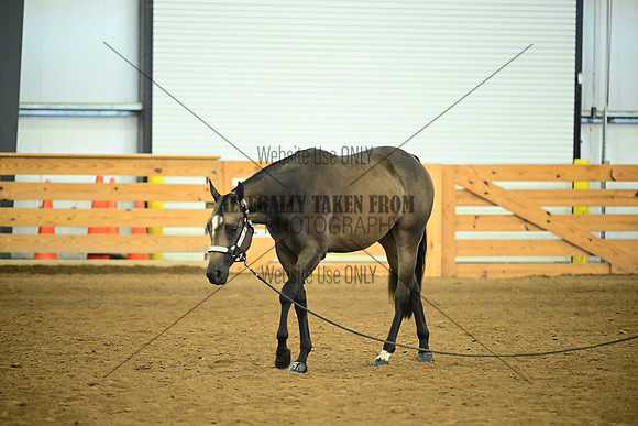 AJB_0649