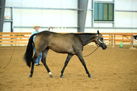 AJB_0650