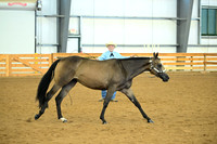 AJB_0654