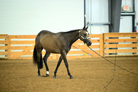 AJB_0655