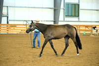 AJB_0656