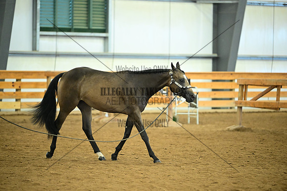 AJB_0657