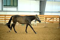 AJB_0658