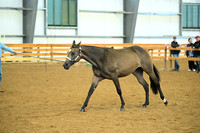 AJB_0659