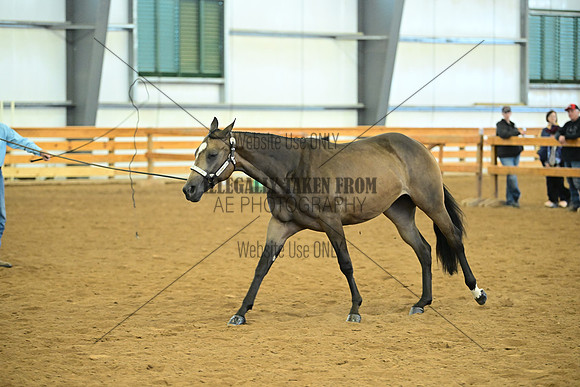 AJB_0659