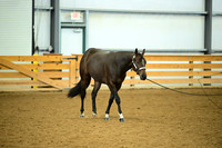 AJB_0663