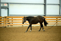 AJB_0665