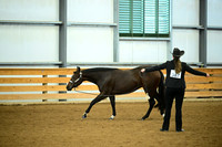 AJB_0667
