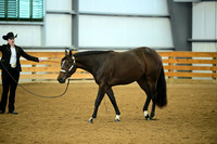 AJB_0670