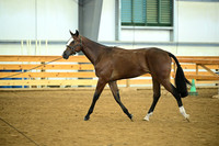AJB_0680