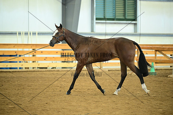 AJB_0680