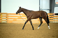 AJB_0681