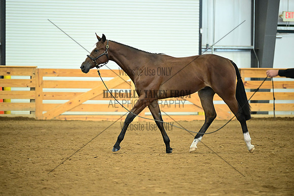 AJB_0681