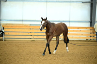 AJB_0682
