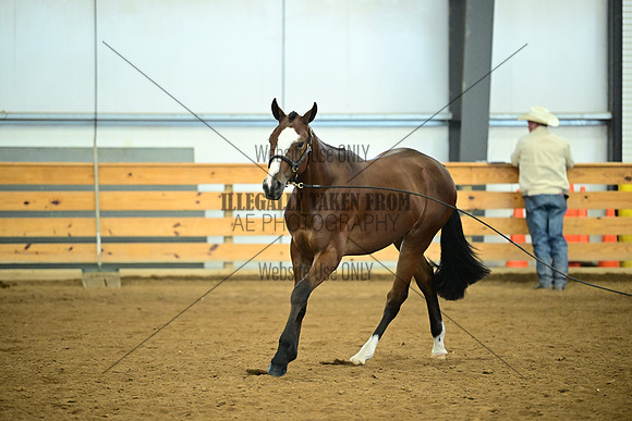 AJB_0684