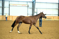 AJB_0685