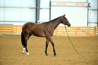 AJB_0687