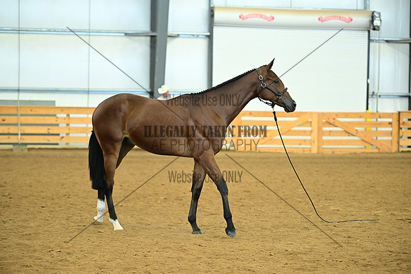 AJB_0687