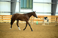 AJB_0689