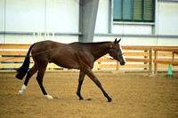 AJB_0690