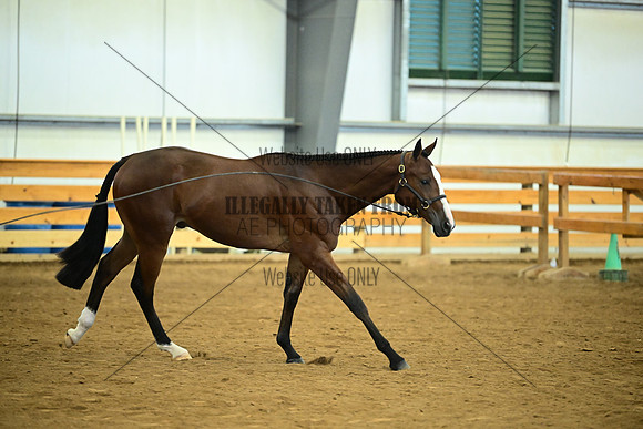 AJB_0690