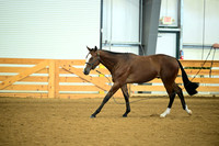 AJB_0686