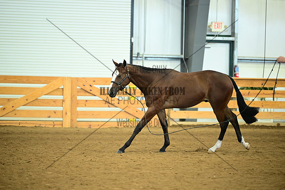 AJB_0686