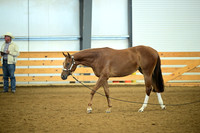 AJB_0583