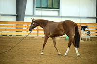 AJB_0584