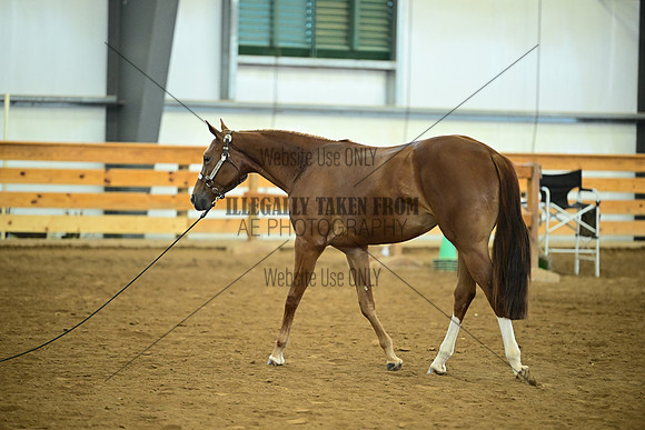 AJB_0584