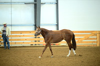 AJB_0587