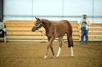 AJB_0586