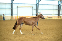AJB_0588