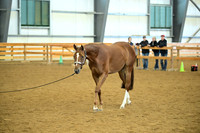 AJB_0589