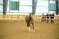 AJB_0592