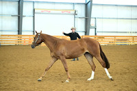 AJB_0593