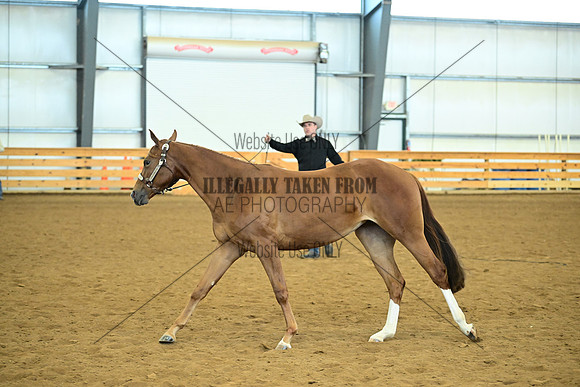 AJB_0593
