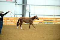 AJB_0594