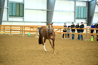 AJB_0595