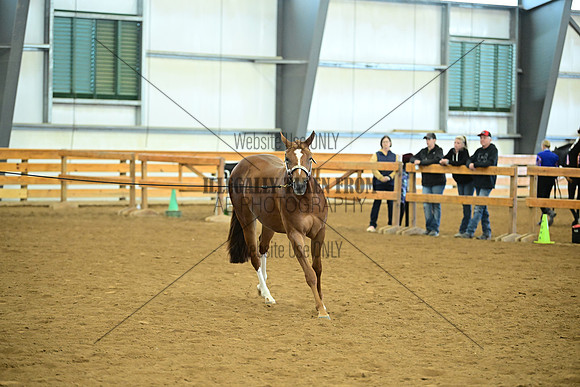 AJB_0595