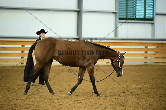 AJB_0697