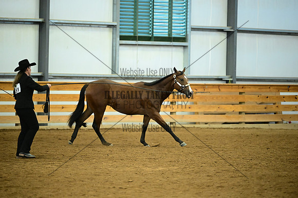 AJB_0706