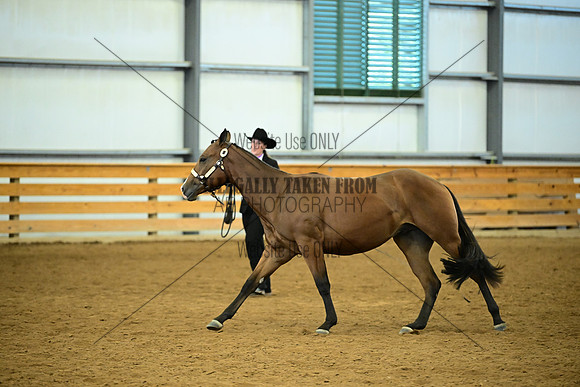 AJB_0710