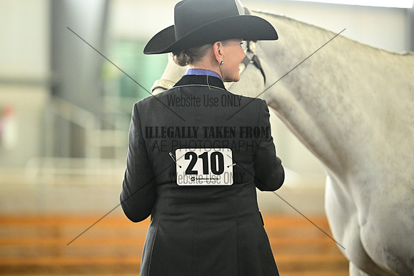 AJB_0951