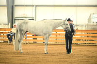AJB_0947